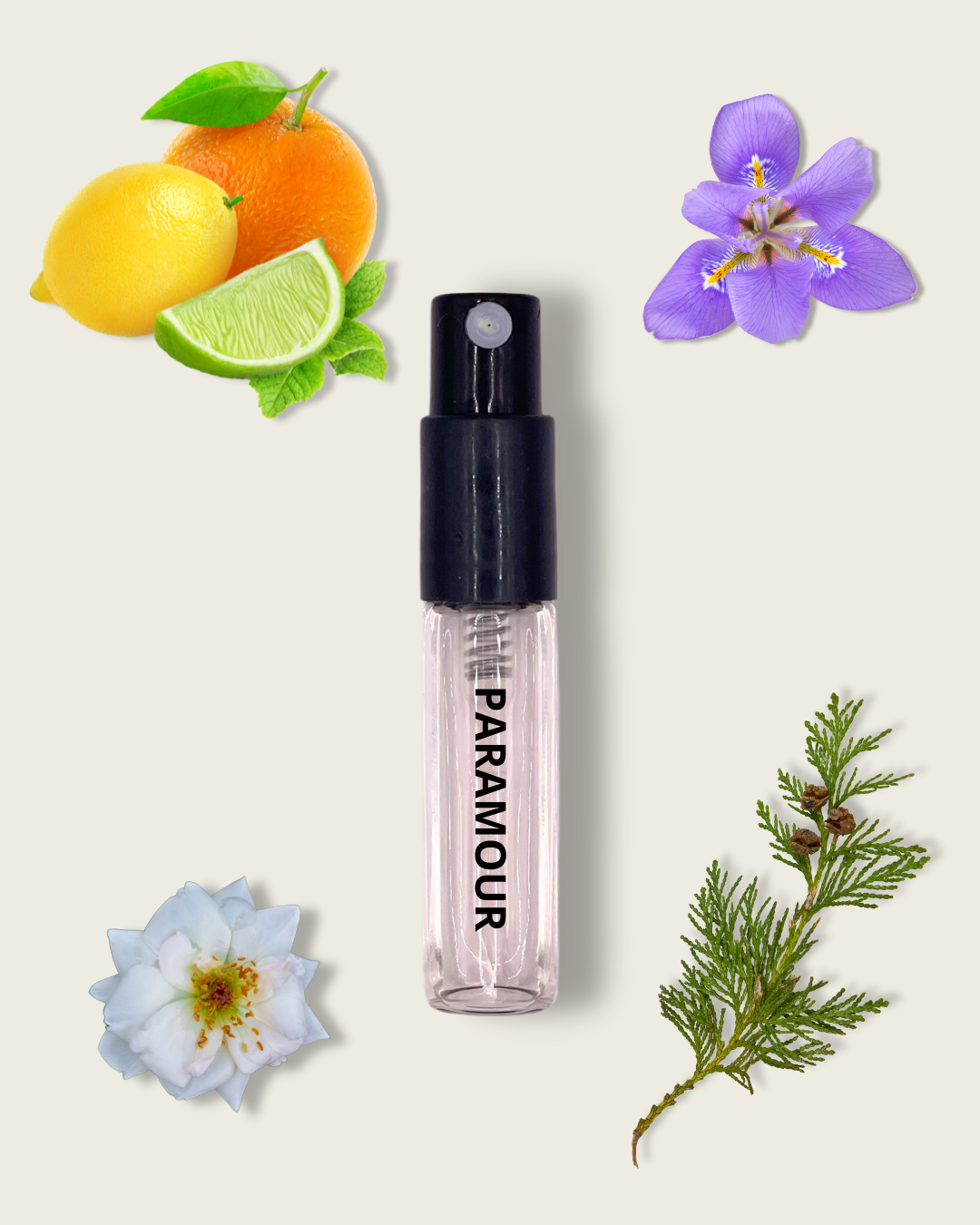 Paramour TEST – Prova Parfym Inspirerad av Homme