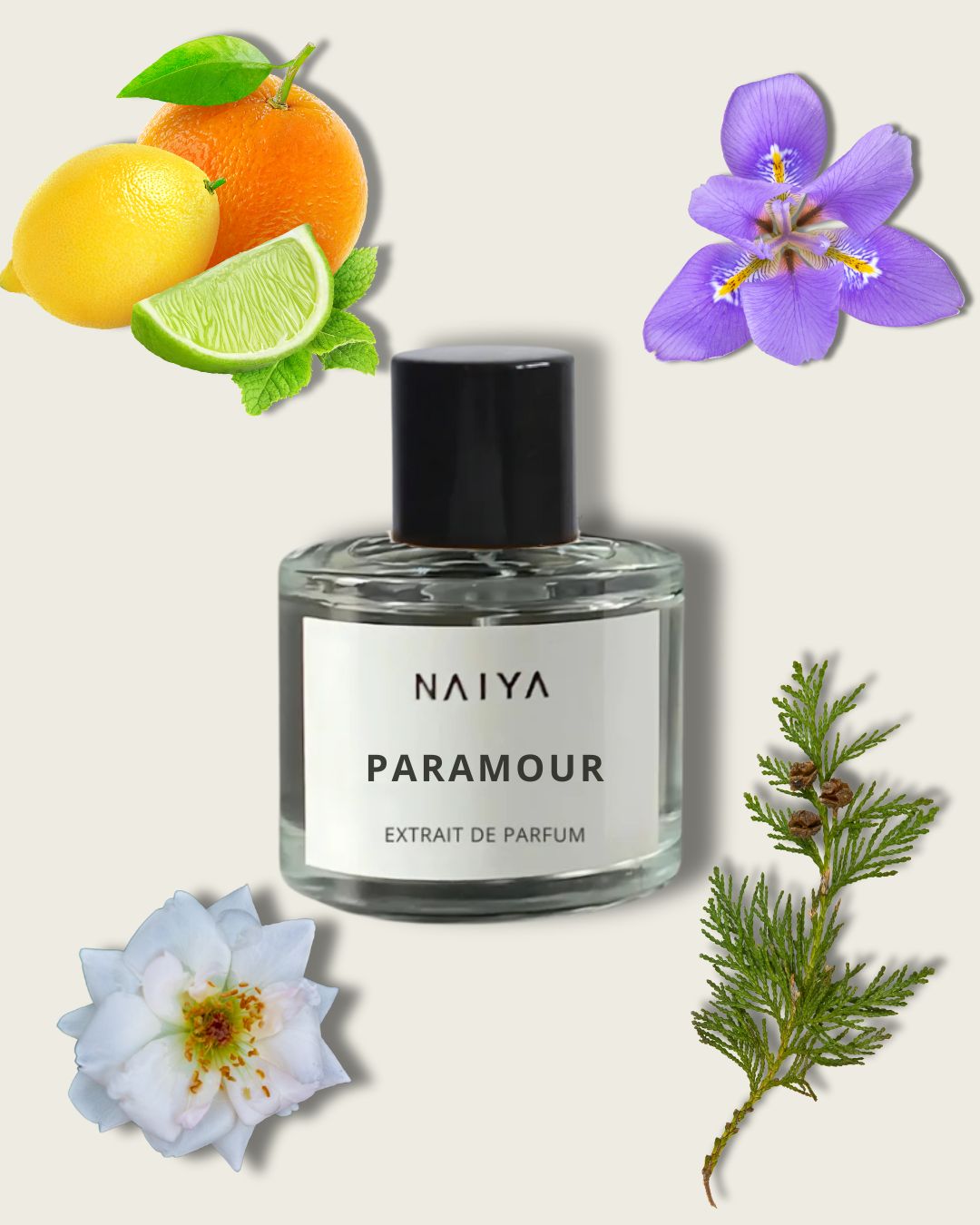 Paramour – Parfym Inspirerad av La Nuit De L'homme